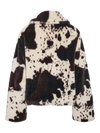 Eve Fur Jacket - Cow