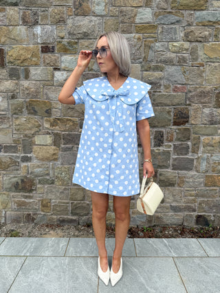 Roxie Polka Dress - Blue